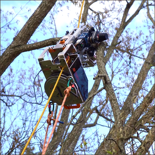 SR-01 clamped to a branch, ready to cut