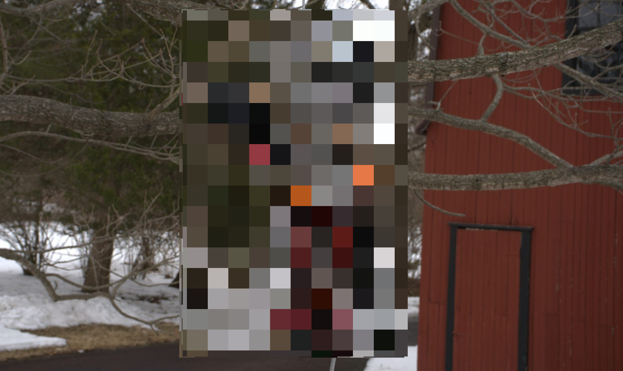 SR-01 robotic system operating in tree canopy