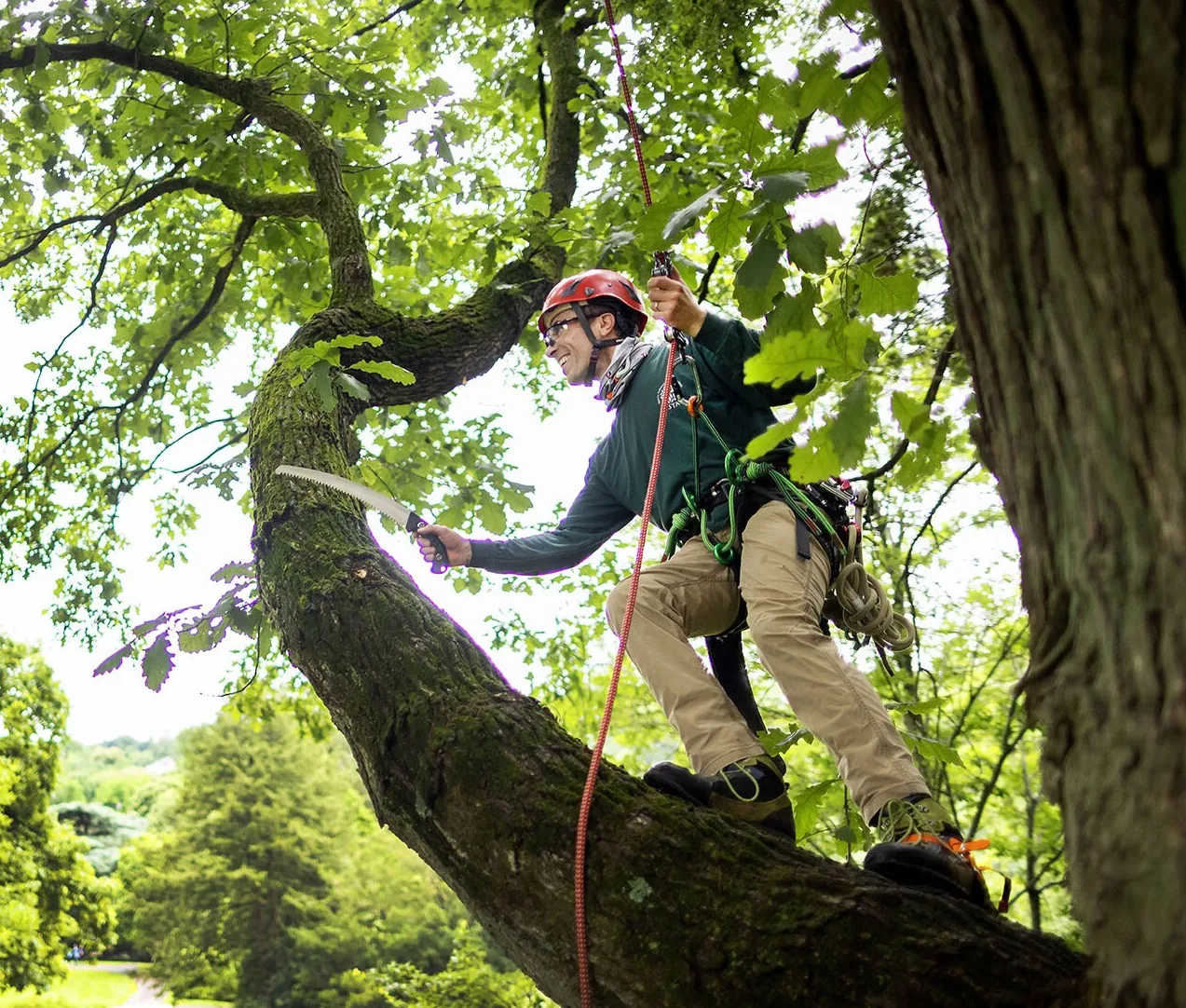 Peter standing in the forest beside a tree